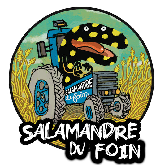 Salamandre du Foin
