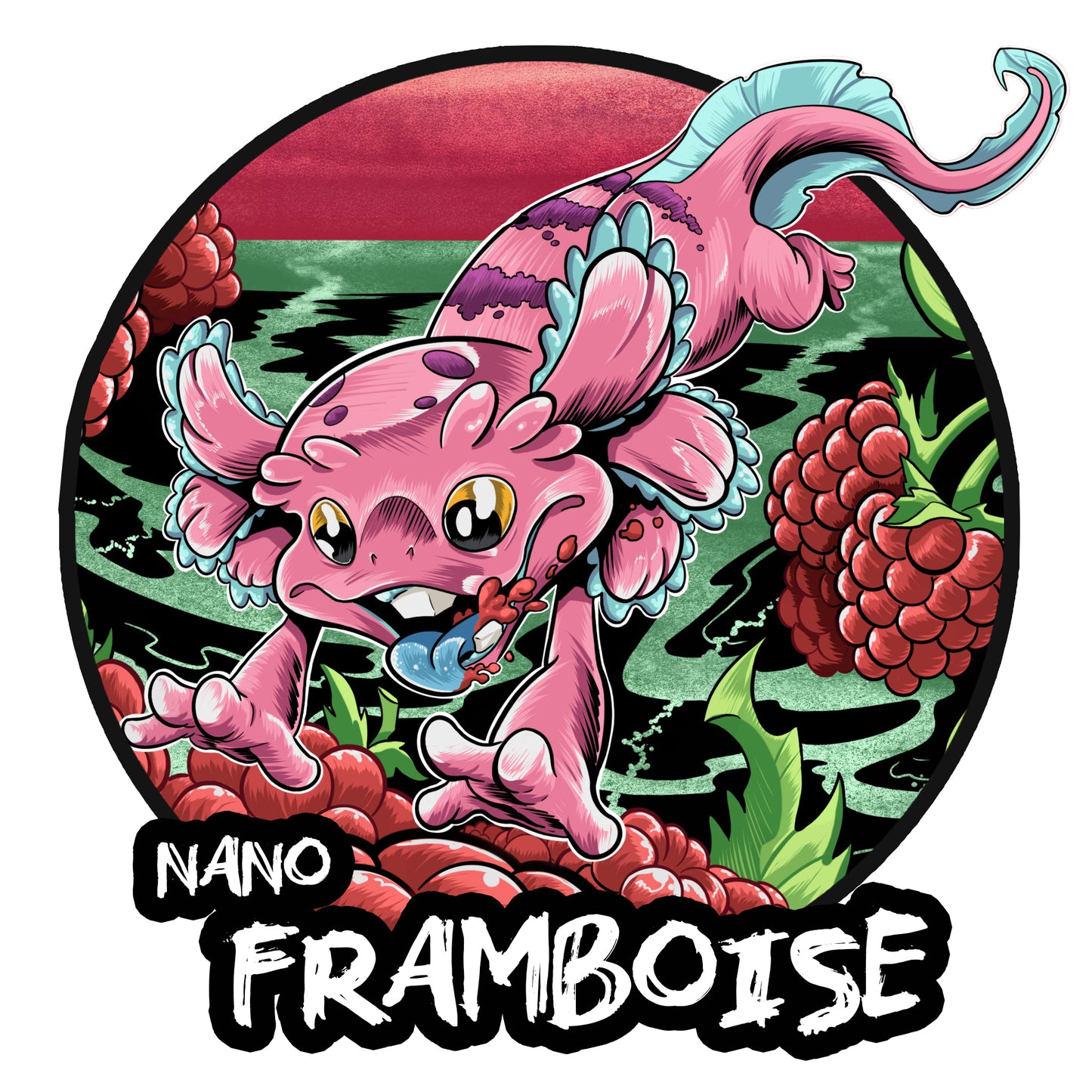 Puptarts Nano Framboise