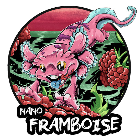 Puptarts Nano Framboise